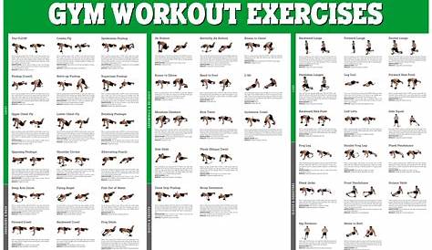 10 Best Free Printable Dumbbell Workout Poster PDF for Free at Printablee