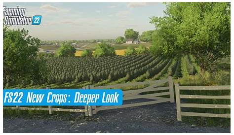 Farming Simulator 22 Crops: A Deeper Look - FS22