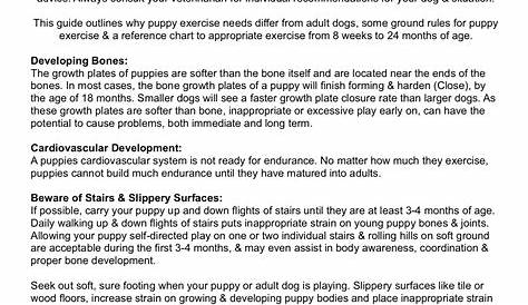 Puppy Exercise Guide – The Joyful Dog