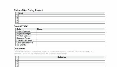 Nonprofit Project Plan - 9+ Examples, Format, Pdf | Examples