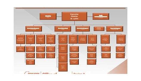 who is at the top of the neca organizational chart