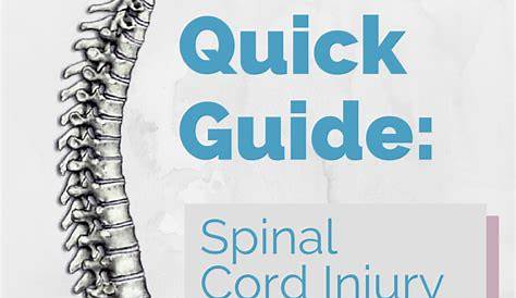 functional level spinal cord injury levels and function chart