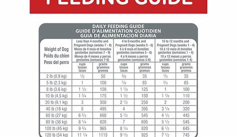 science diet puppy food feeding chart