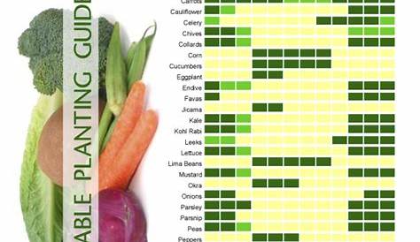 sun loving vegetable and herbs plant chart