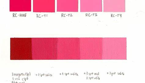 cool red and tints | Color theory, Color, Tints