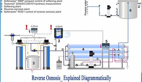 Osmosis Diagram Explanation