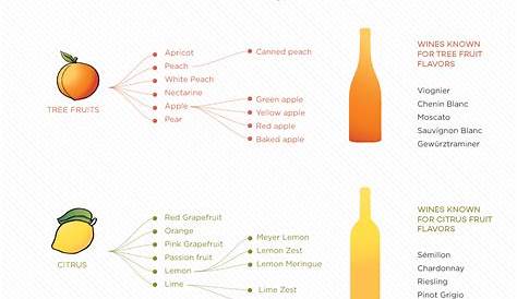 Identifying Flavors in Wine | Wine Folly