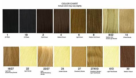 hair color sample chart