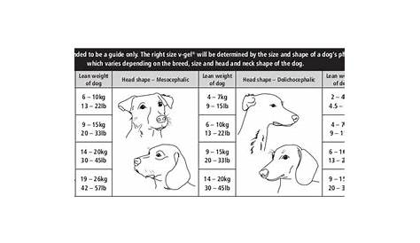 veterinary et tube size chart