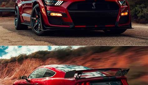 ford mustang gt500 shelby 2020