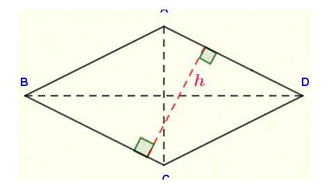 Rhombus Calculator and Solver