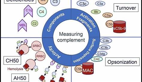 Overview of major classes of complement diagnostic approaches. Whereas