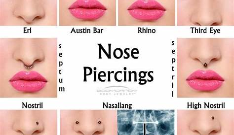 Types of Nose Piercings | Sacramento Nose Piercing | Different nose