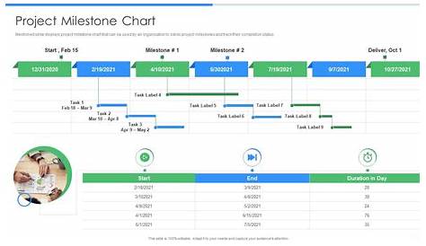 Pmp Toolkit It Project Milestone Chart | Presentation Graphics