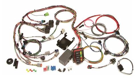 Painless Wiring 60250 Engine Harness | Autoplicity