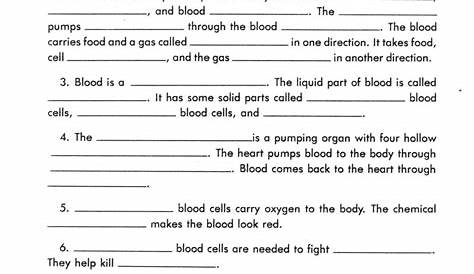 human circulatory system worksheet