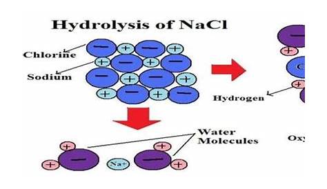 hydrolysis of salts worksheets