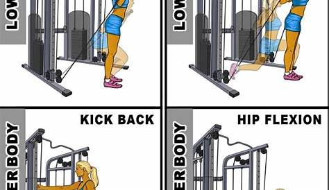 functional trainer exercise chart