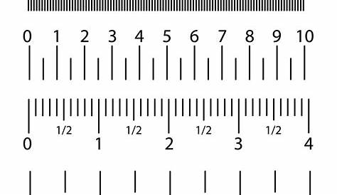 Scale Ruler Printable - Printable Word Searches