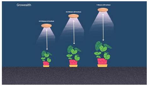 grow light distance chart seedlings