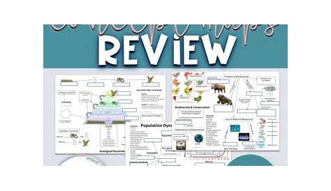 Ecology Review Worksheet - Rae Rocks Teaching