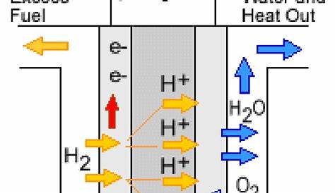 hydrogen fuel cell schematic