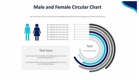 Male and Female Circular Chart Diagram