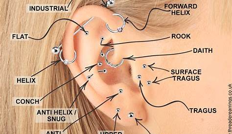 ear piercings chart diagram