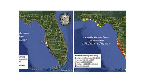 red tide chart southwest florida