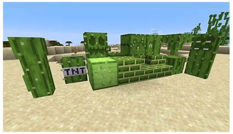 how to place a cactus in minecraft