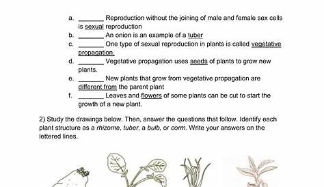 plant reproduction worksheets answer key