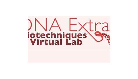 dna extraction virtual lab answer key