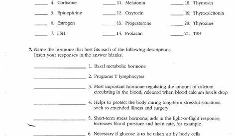human hormones worksheet answers