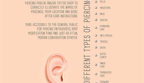 Ear Piercing Infographic Chart on Behance