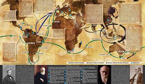 NaturePlus: Wallace100: Poster showing Wallace and Darwin's travels is