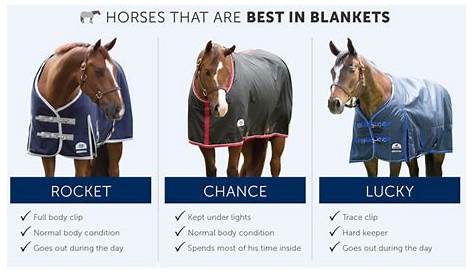 The Ultimate Horse Blanketing Guide – SmartPak Equine