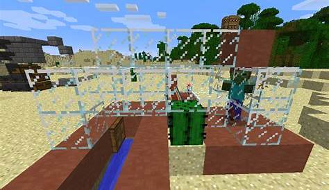 How To Make A Minecraft Cactus Farm Easily And Effectively