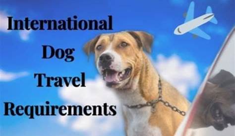 Dog - TravelAlerts