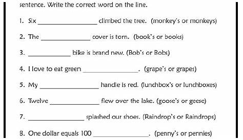 plural and singular possessive nouns worksheets