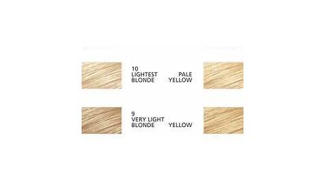 hair color correction chart