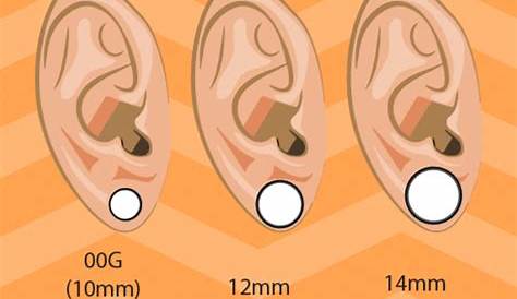 Wishbone Earrings / Wish Bone Stud Earrings 14k Gold/ Symbol Earrings