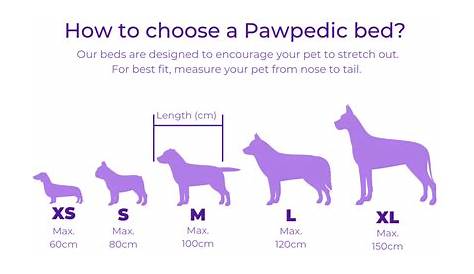 Dog Beds & Orthopaedic Memory Foam Pet Beds Australia | Pawpedics