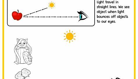 light energy worksheet grade 6