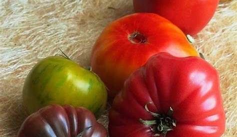best heirloom tomato varieties