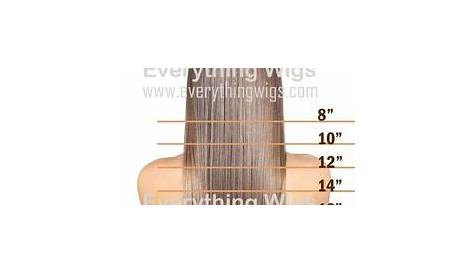 hair length number chart
