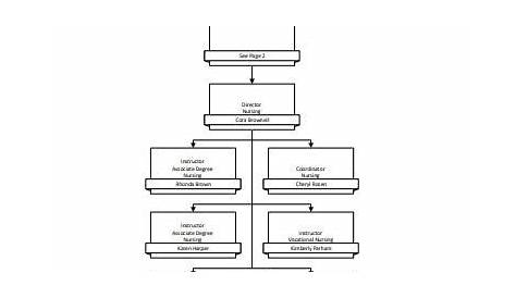 5+ Nursing Organizational Chart Templates in PDF