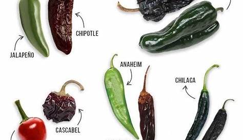 Mexican Dried Chiles Chart