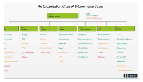 An Organization Chart of E-Commerce Team in an online business