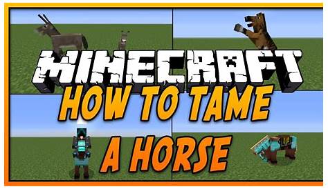 How To Tame and Ride a Horse in Minecraft - YouTube