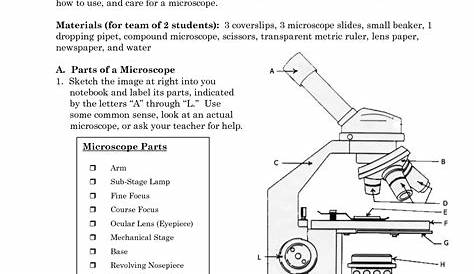 microscope reading worksheet